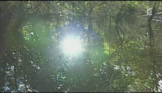 Planète terre (3/3) à l'assaut des terres