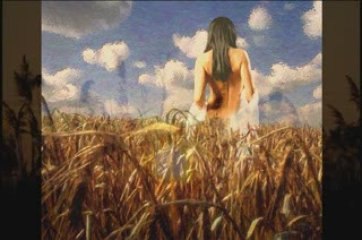 ChakGuitar - Fields of Gold ( Sting )