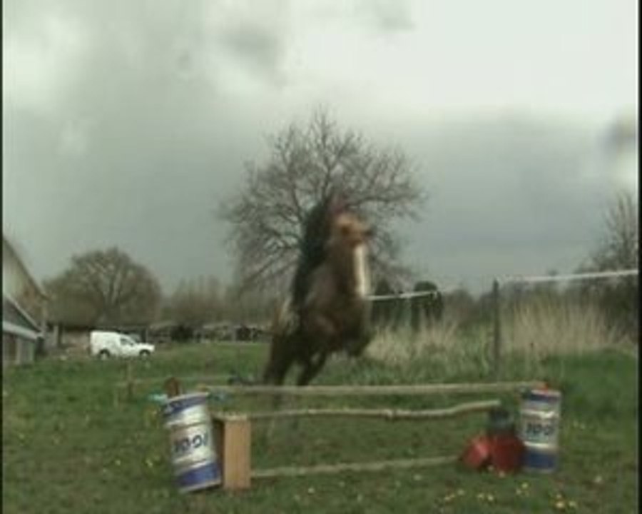 mulan en cso contra de foulée tro bien