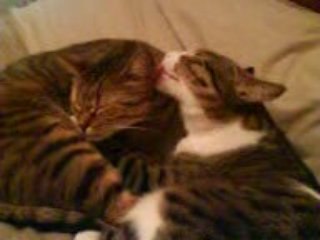 Un peu de douceur...