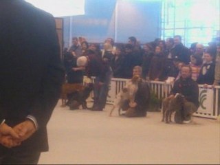 SALON DE L AGRICULTURE PARIS 2009