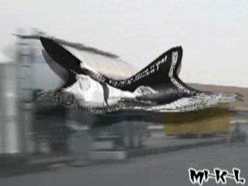 Tekos Larzac 2003 (France)