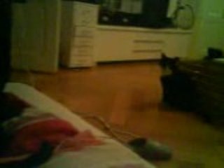 Documentaire animalier 2