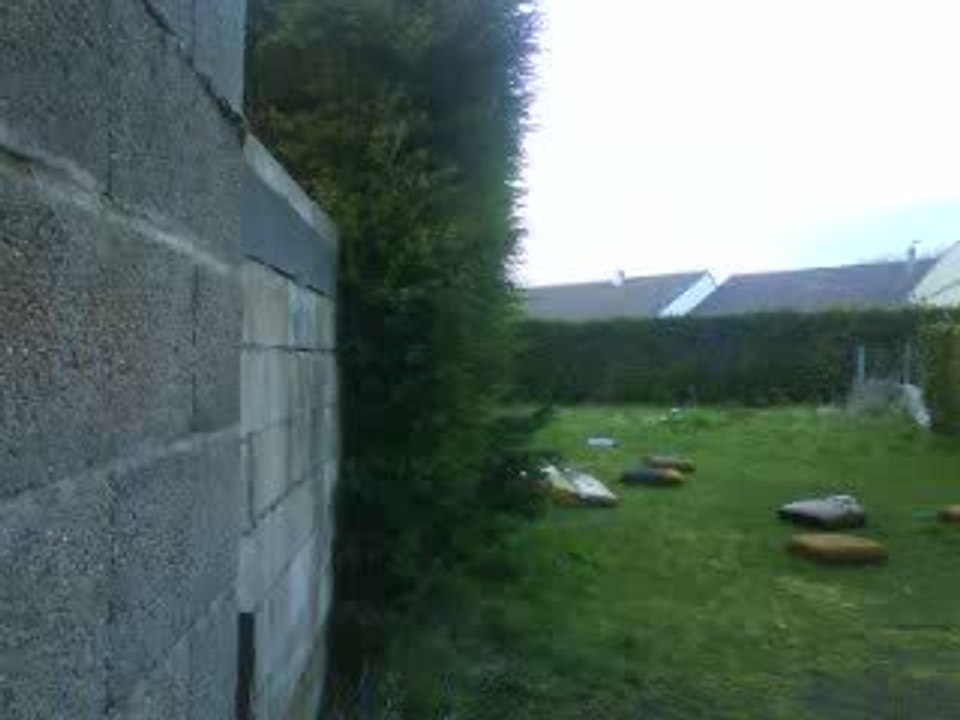 kevin fai le wall flip