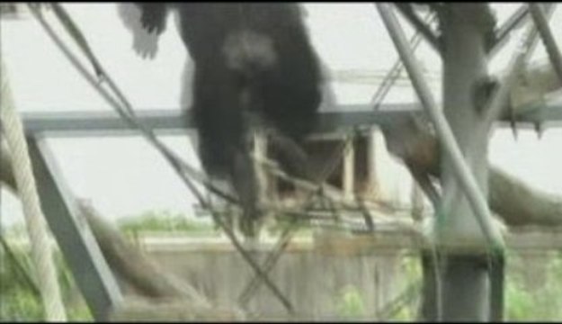Planète terre (3/3) évoluer pour survivre