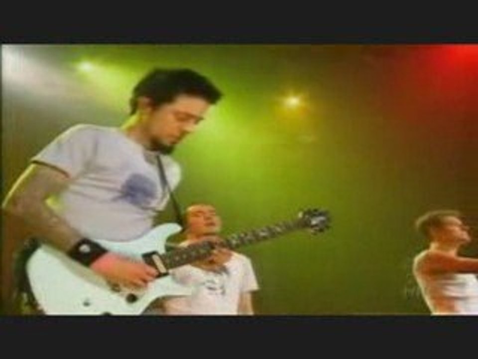 311 Amber Live, You have to see this!