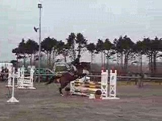 Cso pépita plabennec 22-03-09 (13)