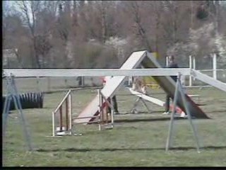 Betty agility Open Auch 2009