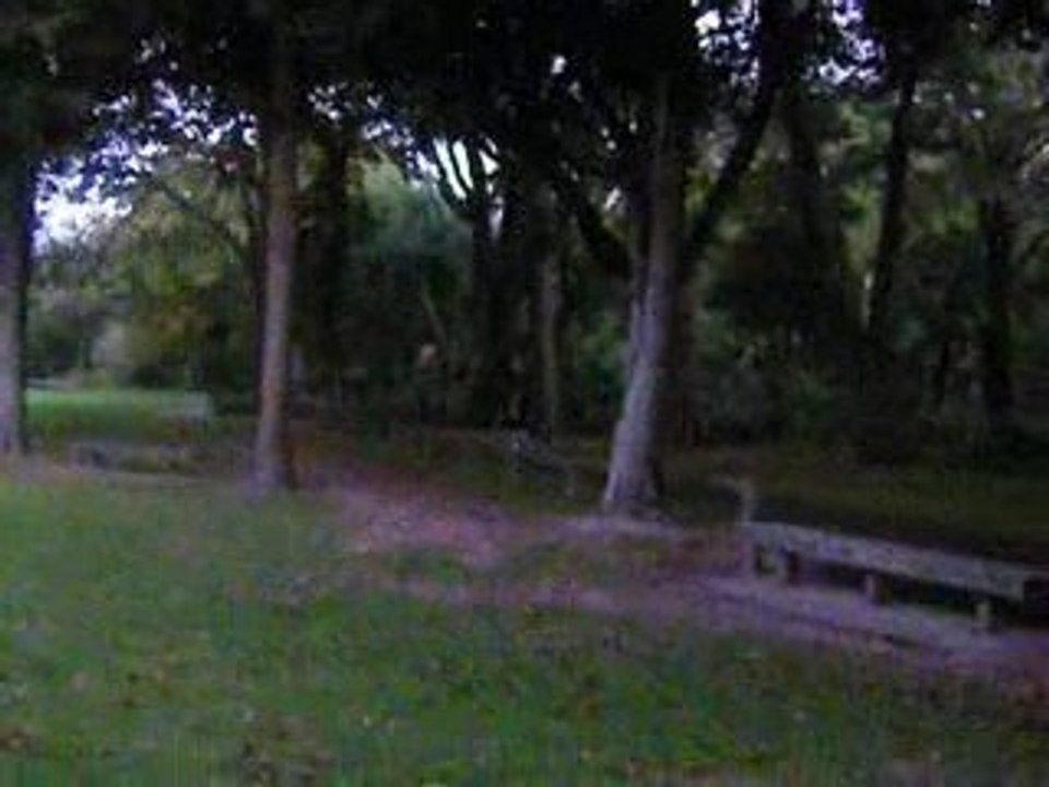 wellington, palmerston north, playground1