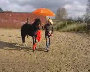 pilasha, paco and shana voa