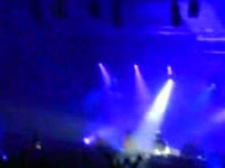 birdy nam nam