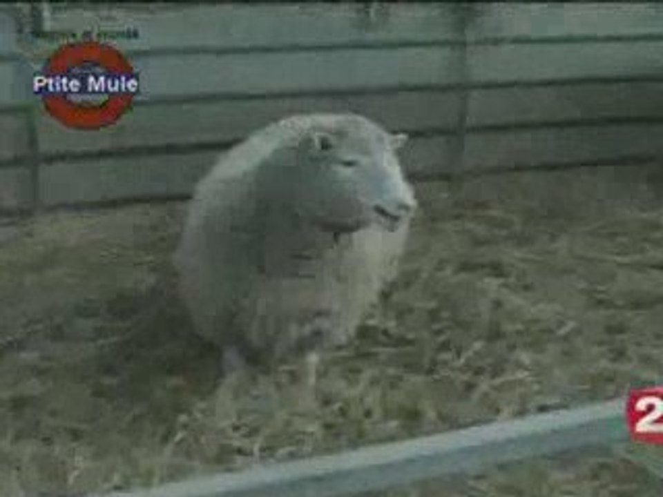 Clonâge : Copie de la création de Dieu