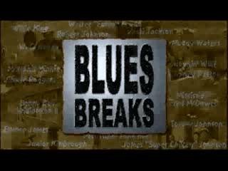 Robert Mugge - Blues Highways