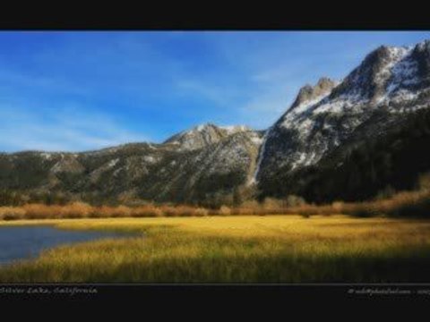 LUMINITA SOARE: FIELDS OF GOLD