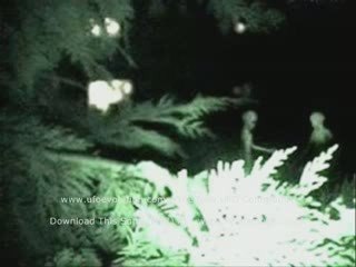 UFOs Video & Picture Collection