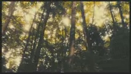 HUMAINS : la bande-annonce