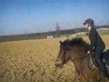 Lindsay & Nounours galop