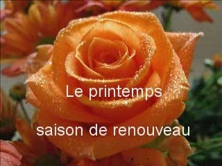 VIVE LE PRINTEMPS