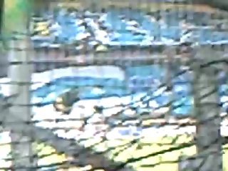 entrée joueurs om fcn