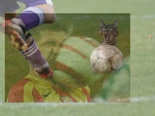 Futworld 18 de marzo de 2009