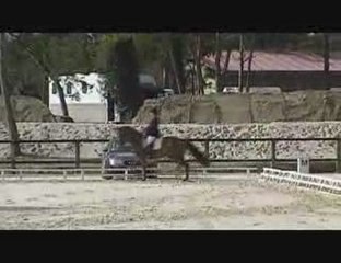 Z CC 5ans fontainebleau