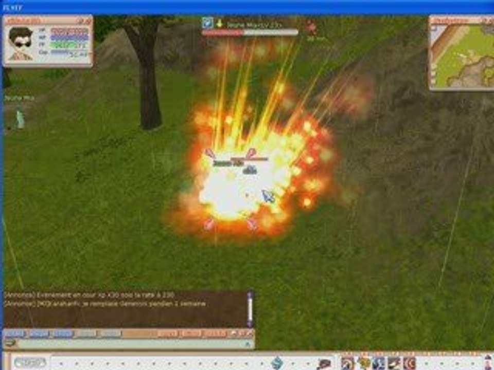 Flyff - apersu serveur privé