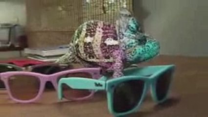 Super Chameleon [Ray-Ban]