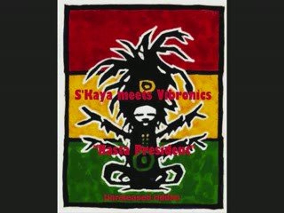 S'Kaya meets Vibronics