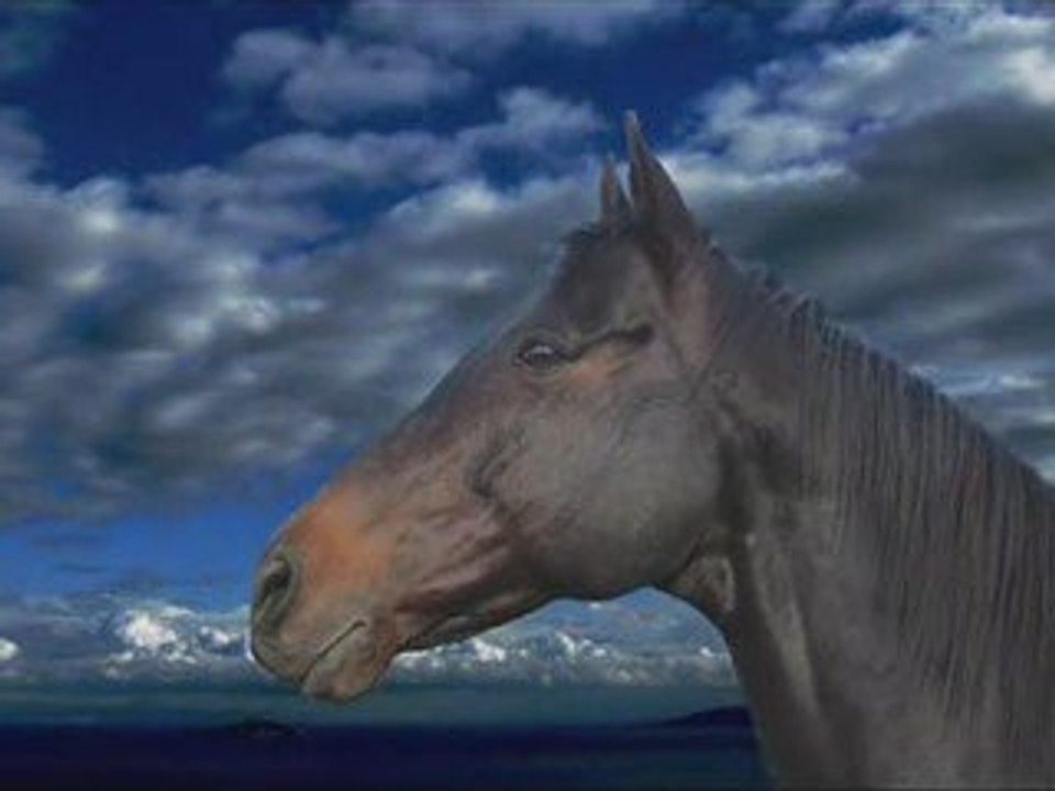 βουκεφαλας-Σπανουδακης