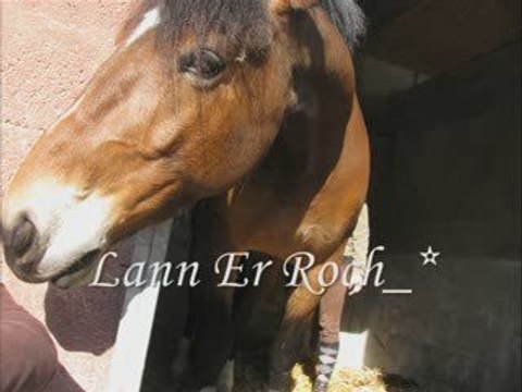 Lann Er Roch 21 mars 2009