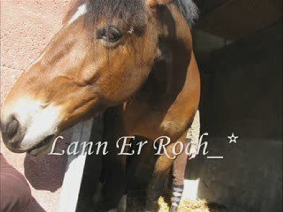 Lann Er Roch 21 mars 2009