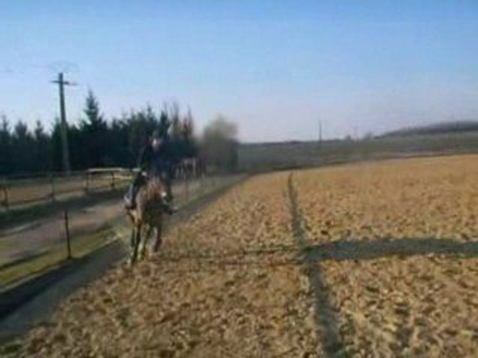 Lindsay & Nounours "dressage" :p