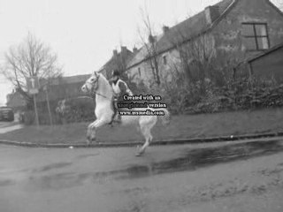 Vasquez et moi, débuts difficiles ^^