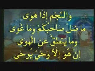 الرد على من زعم أن الرسول صلى الله عليه وسلم اجتهد وأخطأ