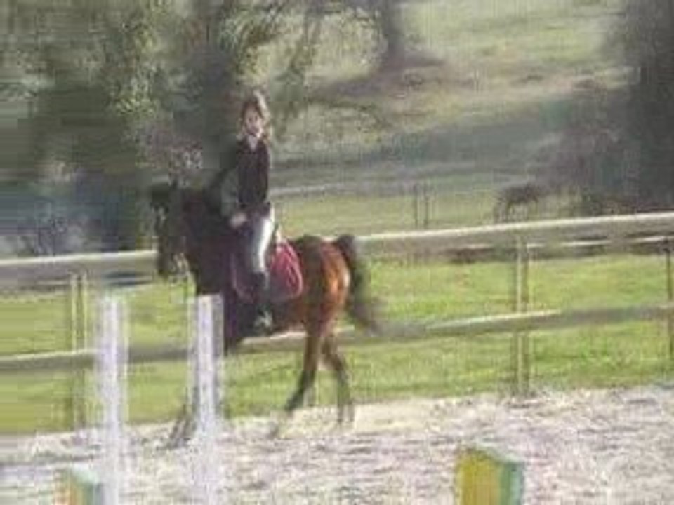 oxer 210309
