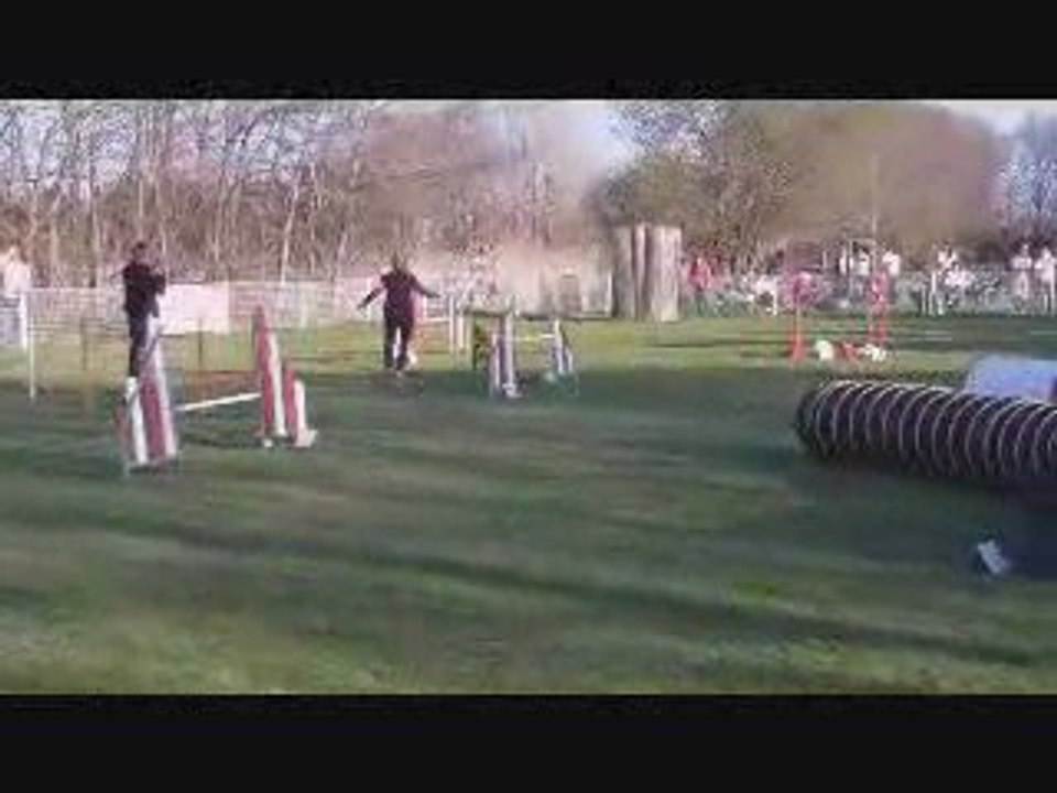 Maugio Verity Jumping