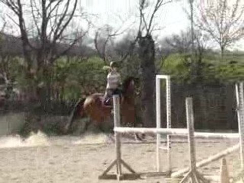 Pipper le 20.03 oxer et double