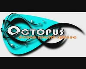 STAGE OCTOPUS ESPAGNE FEVRIER 2009