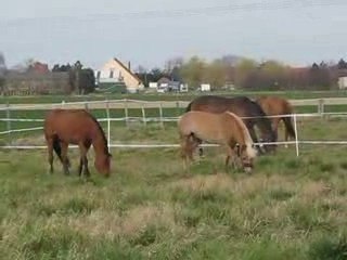 les joies de la pature !! enfin ...