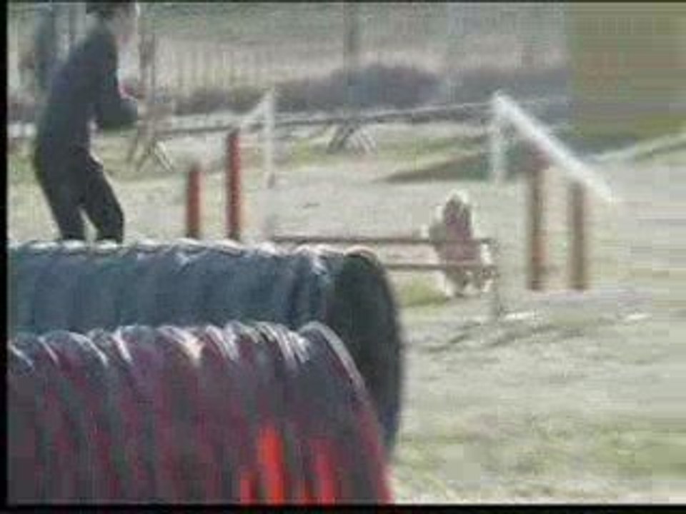 Betty Jumping