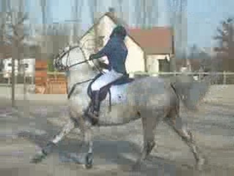 CSO coullons championnats départementaux 2009 POD2