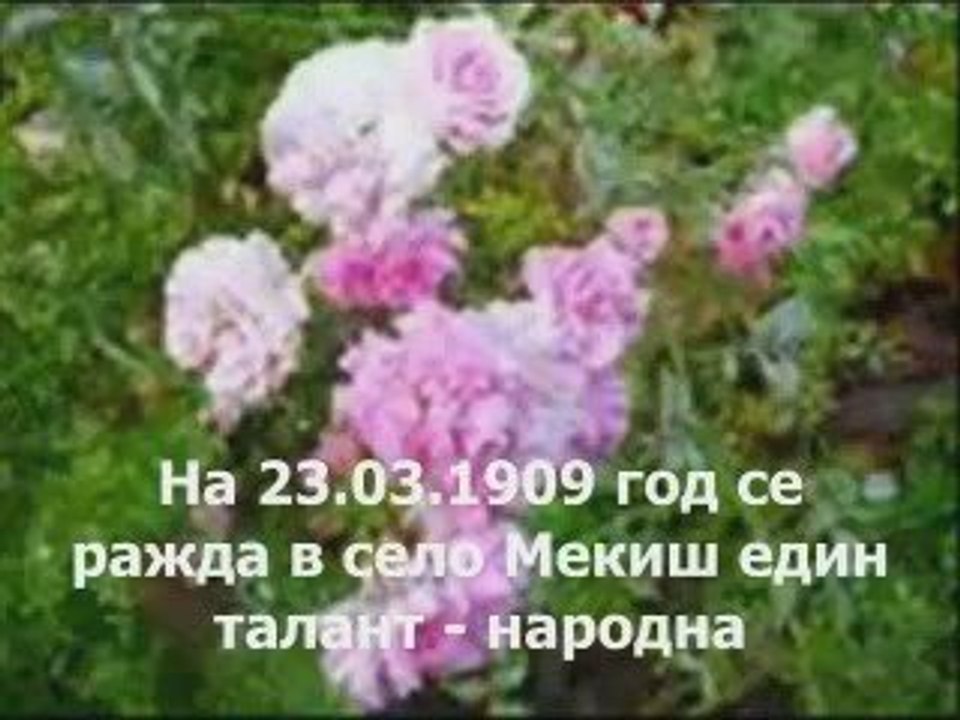 Мита Стойчева