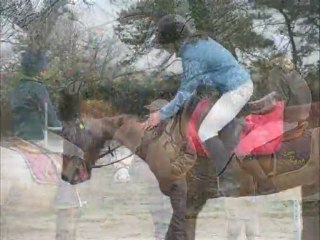 CSO St Avé 22 mars 2009