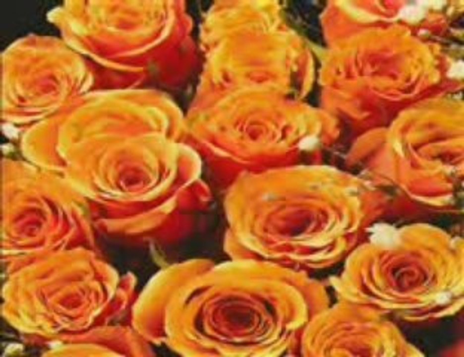 فايزه ونزارنزار وفايزه احمد    حصرى
