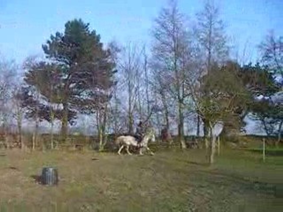 Mario 21/03/09 monté galop licol