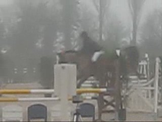 Ice cream St george E2ponam SHUC