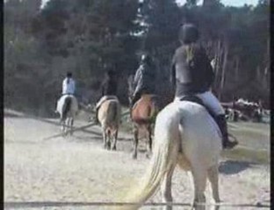 Saut d'obstacle