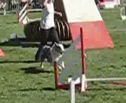 AGILITY FIDJY GPF AUCH 09 betbeder +gayraud 054(1)