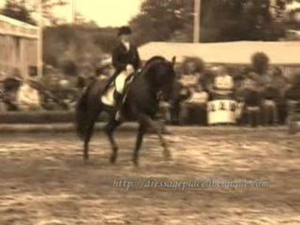sir lui_2006