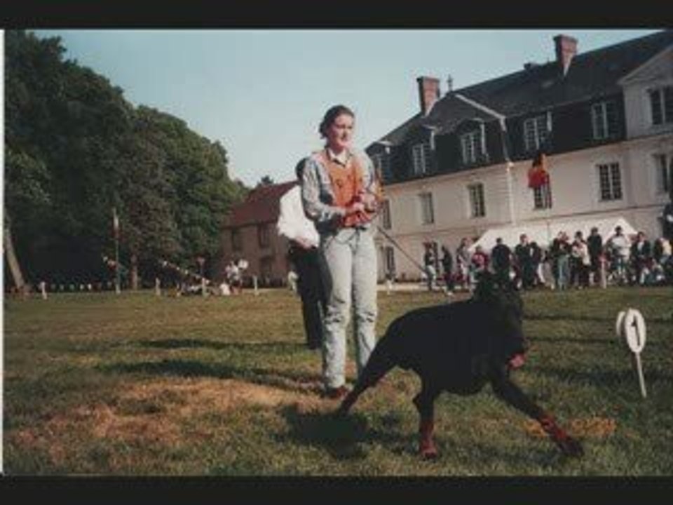 N'Excel Jurgen's de Diemar